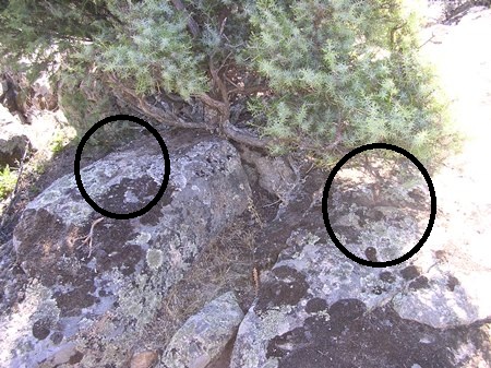 marcas abajo de la Chopera